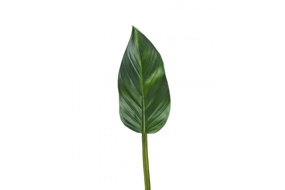 Лист Колоказии искусственный зеленый 47 см MDP