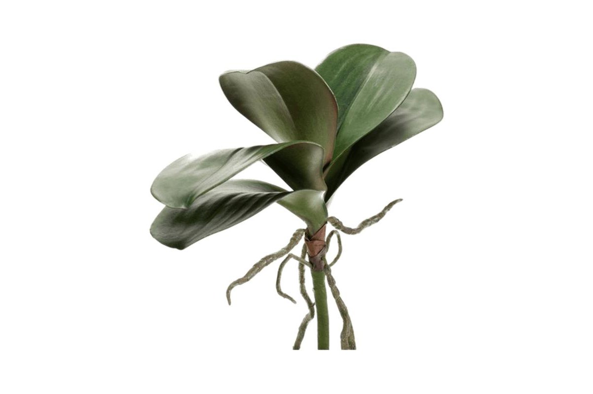 Листья орхидеи фаленопсис с корнями искусственные h30 см