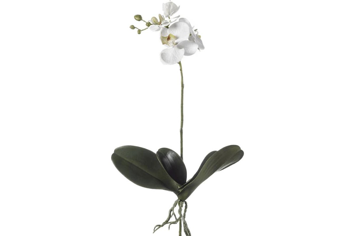 Листья орхидеи фаленопсис с корнями искусственные h55 см