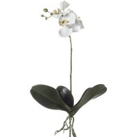 Орхидея фаленопсис с корнями искусственные h55 см