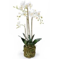 Орхидея фаленопсис белая с землёй и мхом искусственная h80 см