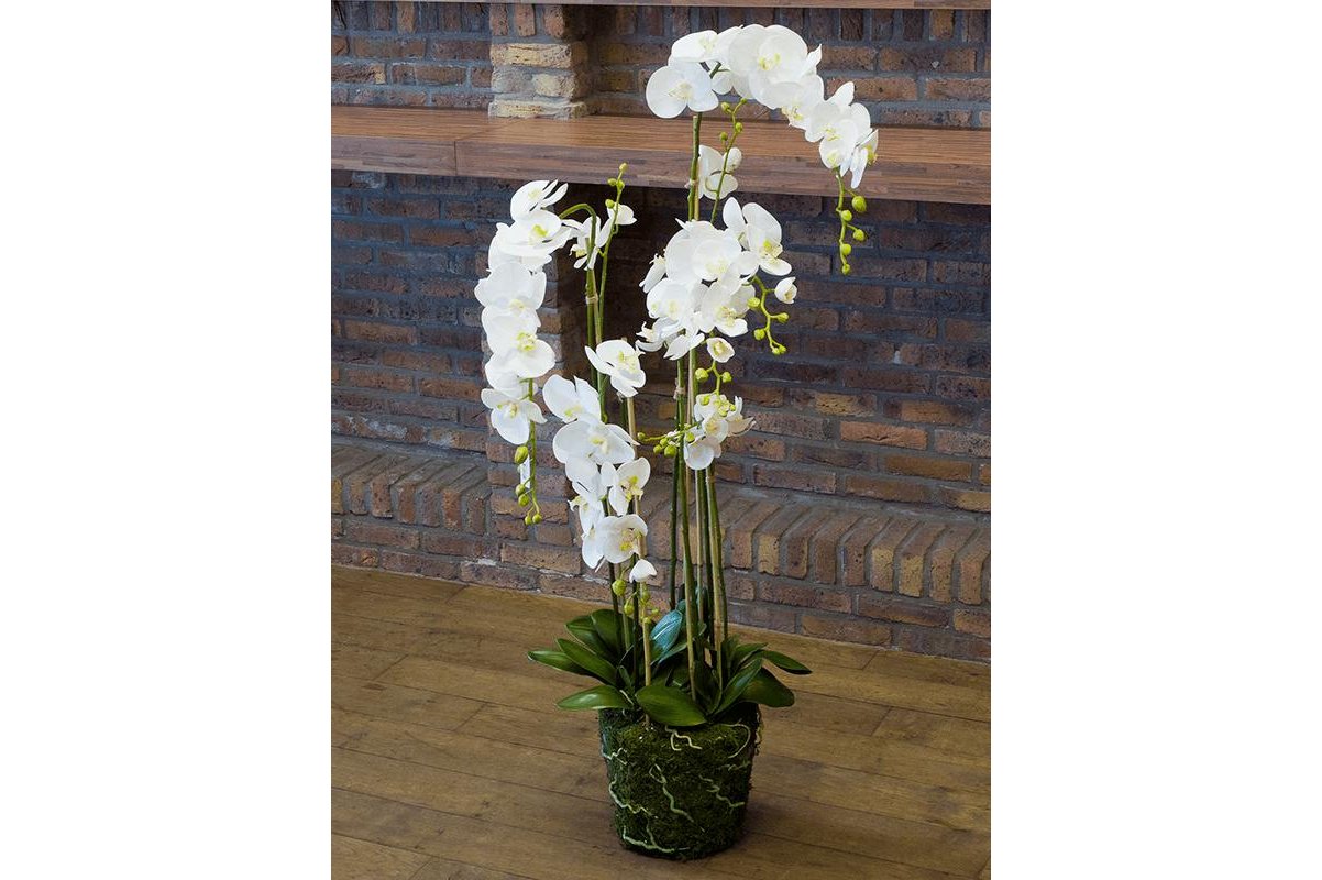Орхидея фаленопсис белая с землёй и мхом искусственная h145 см
