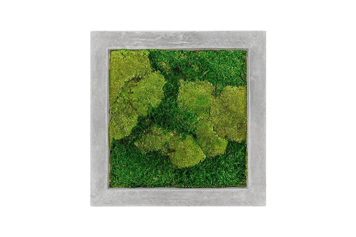 Картина из стабилизированного мха raw grey 50% ball- and 50% flat moss l50 w50 h5 см