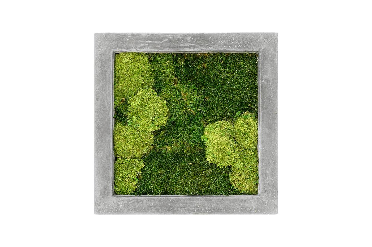 Картина из стабилизированного мха raw grey 30% ball- and 70% flat moss l50 w50 h5 см