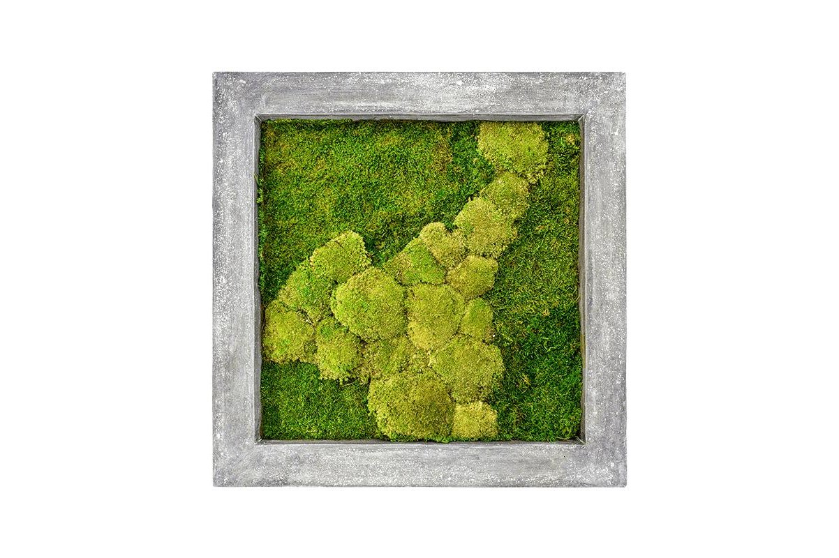Картина из стабилизированного мха raw grey 50% ball- and 50% flat moss l70 w70 h5 см