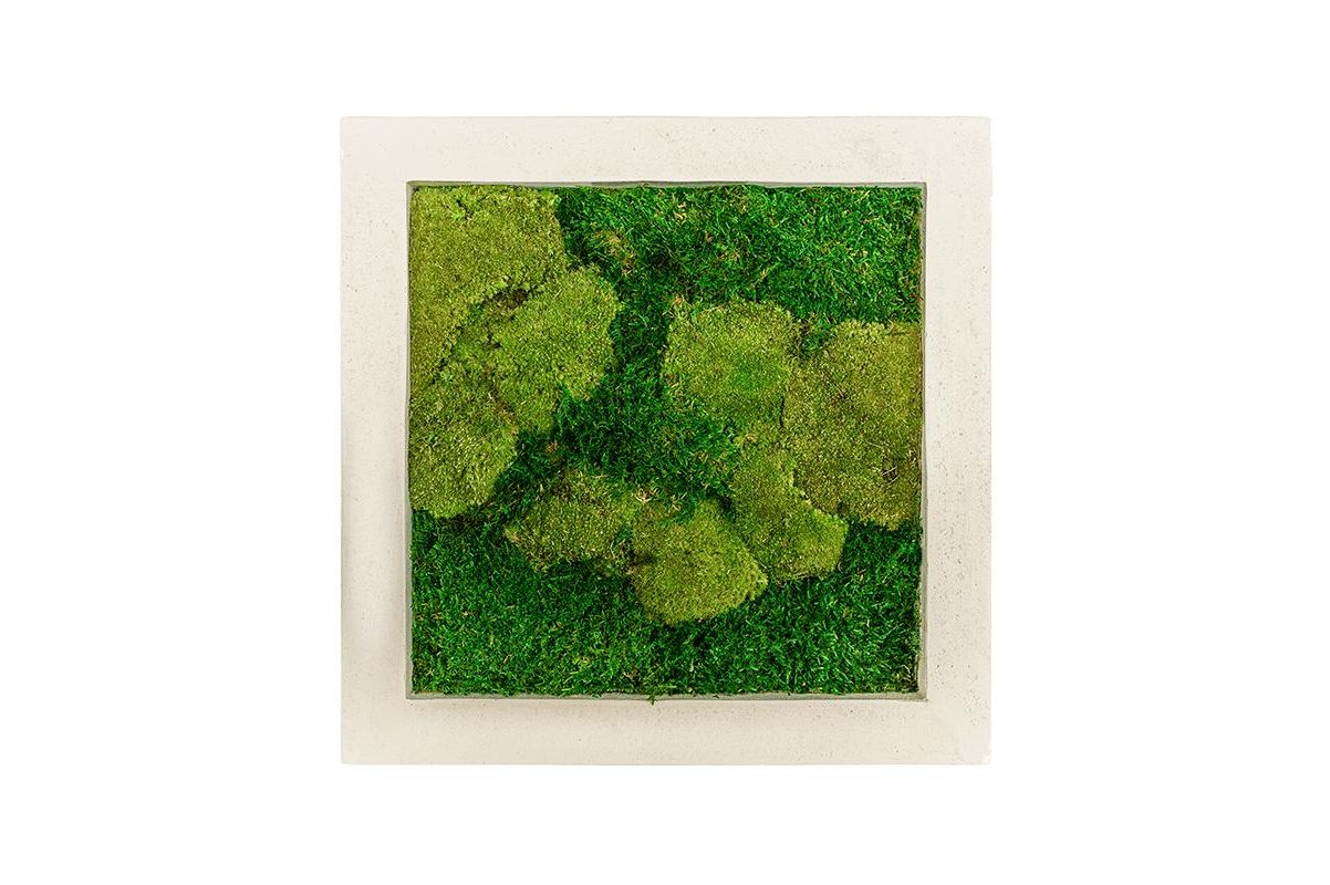 Картина из стабилизированного мха natural 50% ball- and 50% flat moss l50 w50 h5 см