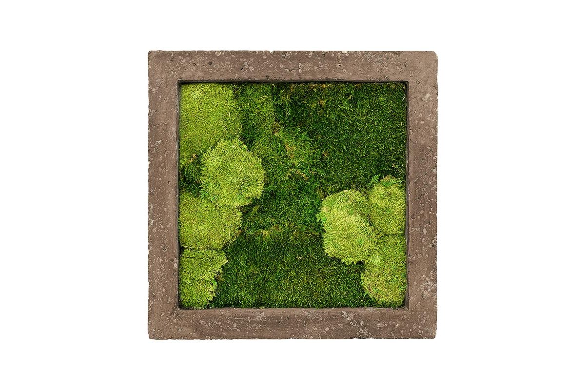 Картина из стабилизированного мха rock 30% ball- and 70% flat moss l50 w50 h5 см
