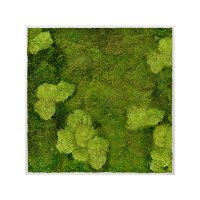 Картина из стабилизированного мха aluminum 30% ball moss (natural) and 70% flat moss l120 w120 h6 см