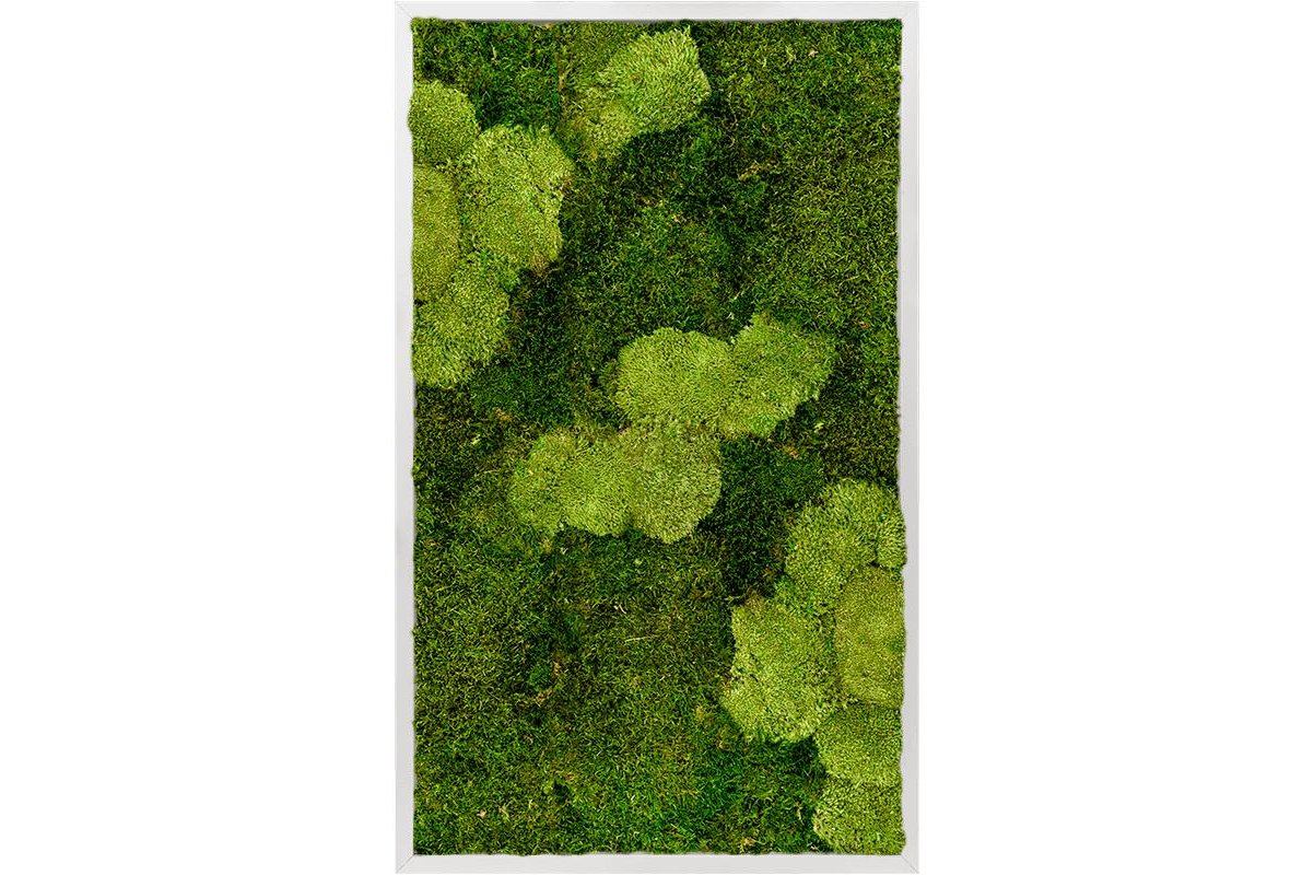 Картина из стабилизированного мха aluminum 30% ball moss (natural) and 70% flat moss l60 w100 h6 см