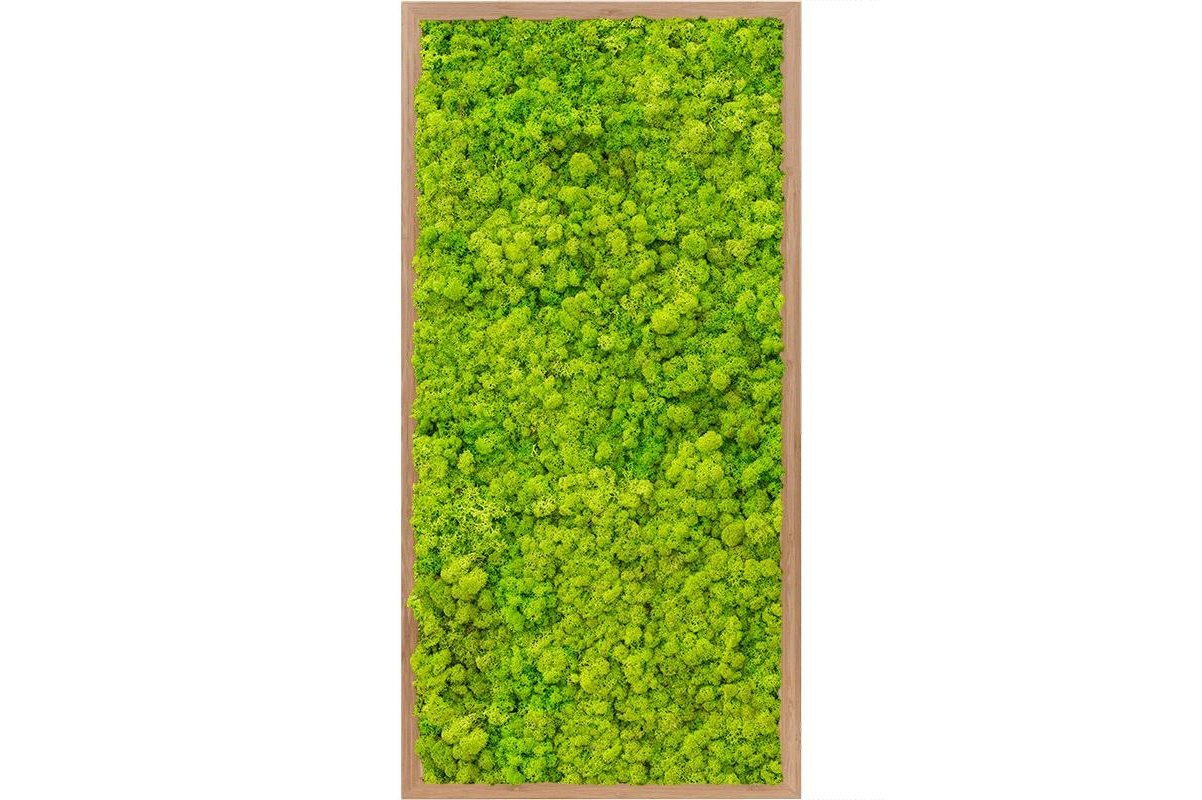 Картина из стабилизированного мха bamboo 100% reindeer moss (spring green) l40 w80 h6 см