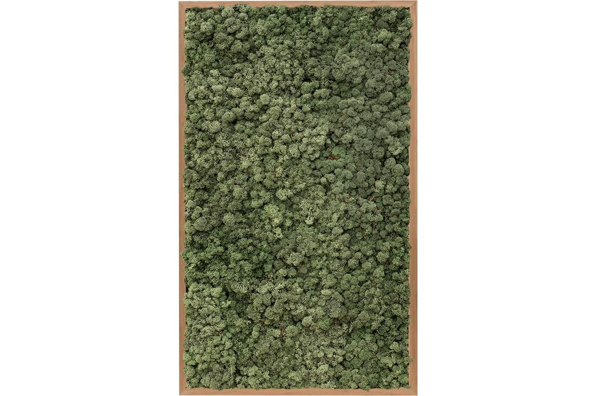 Картина из стабилизированного мха bamboo 100% reindeer moss (dark green) l60 w100 h6 см