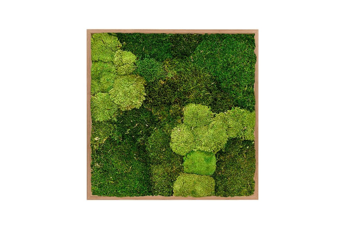 Картина из стабилизированного мха bamboo 30% ball moss (natural) and 70% flat moss l80 w80 h6 см