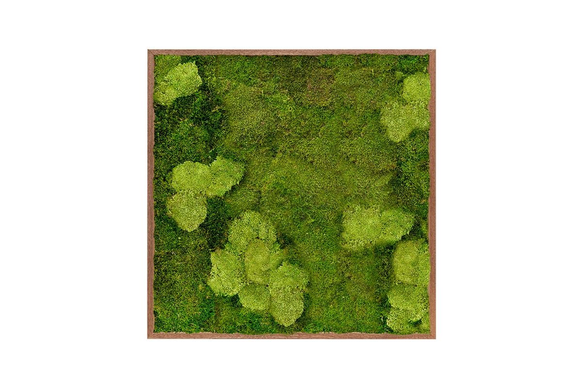 Картина из стабилизированного мха meranti 30% ball moss (natural) and 70% flat moss l100 w100 h6 см