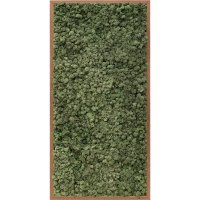 Картина из стабилизированного мха meranti 100% reindeer moss (dark green) l60 w120 h6 см