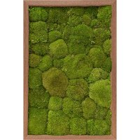 Картина из стабилизированного мха meranti 100% ball moss (natural) l40 w60 h6 см