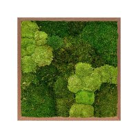 Картина из стабилизированного мха meranti 30% ball moss (natural) and 70% flat moss l60 w60 h6 см