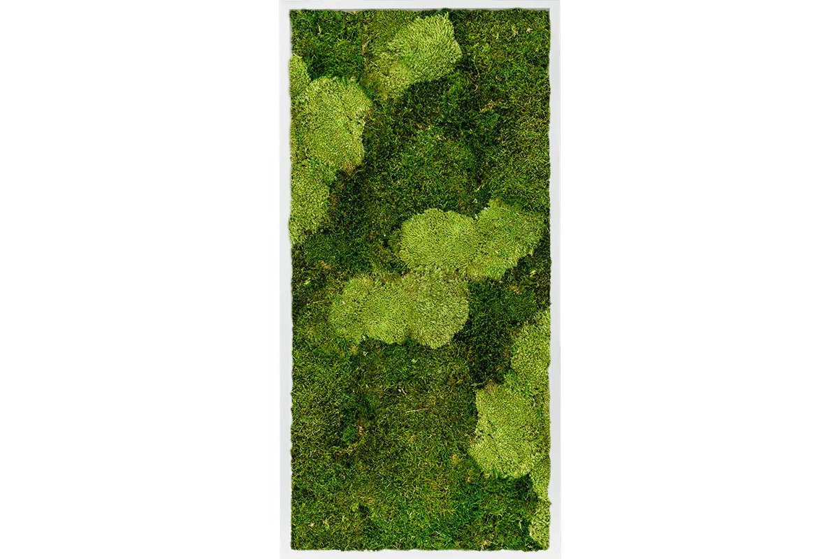 Картина из стабилизированного мха mdf ral 9010 satin gloss 30% ball moss (natural) and 70% flat moss l60 w120 h6 см