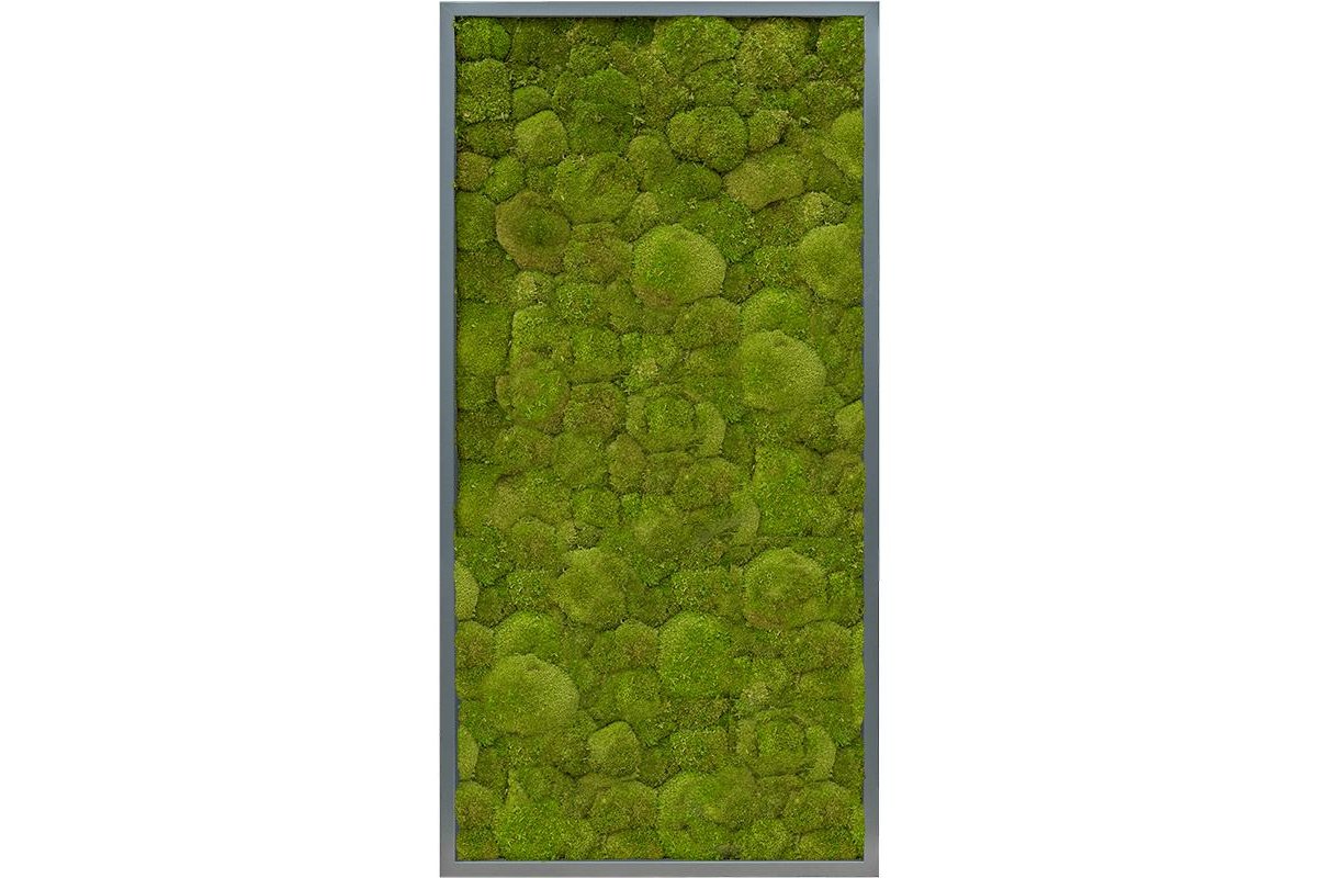 Картина из стабилизированного мха mdf ral 7016 satin gloss 100% ball moss (natural) l60 w120 h6 см