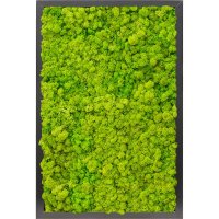 Картина из стабилизированного мха mdf ral 9005 satin gloss 100% reindeer moss (spring green) l40 w60 h6 см