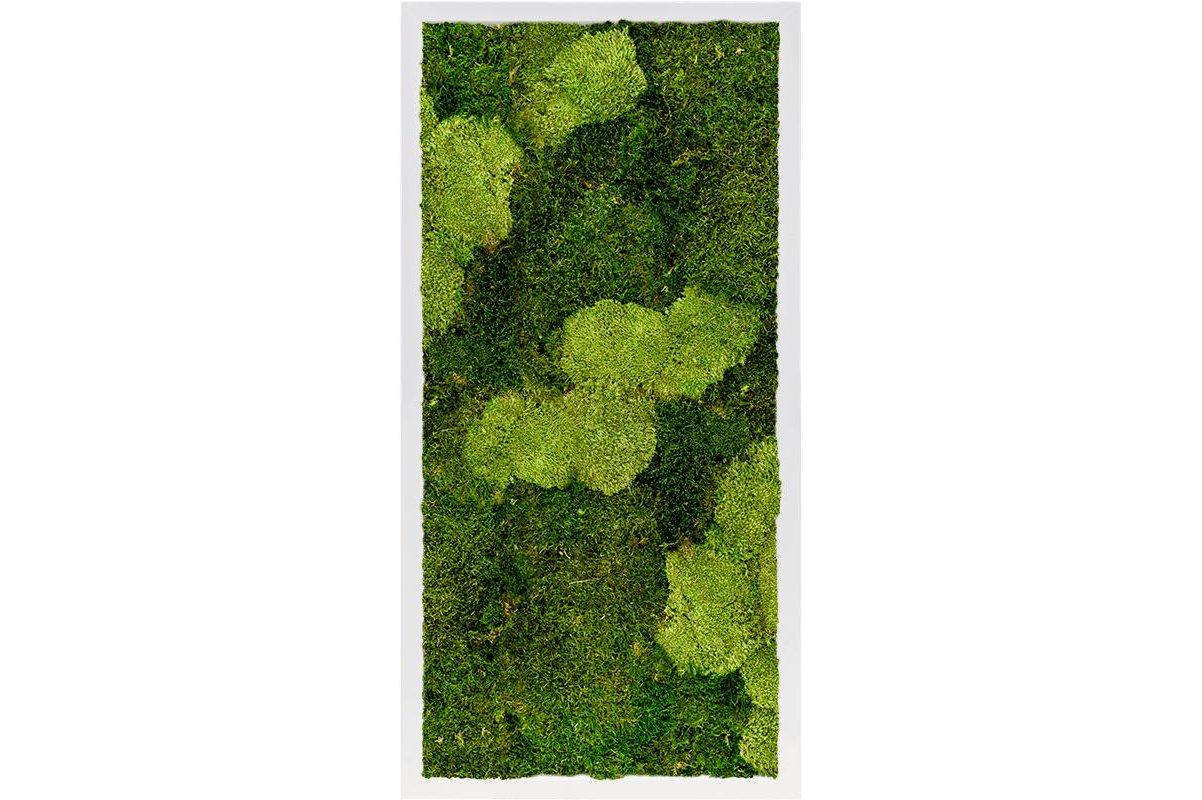 Картина из стабилизированного мха mdf ral 9010 satin gloss 30% ball moss (natural) and 70% flat moss l40 w80 h6 см
