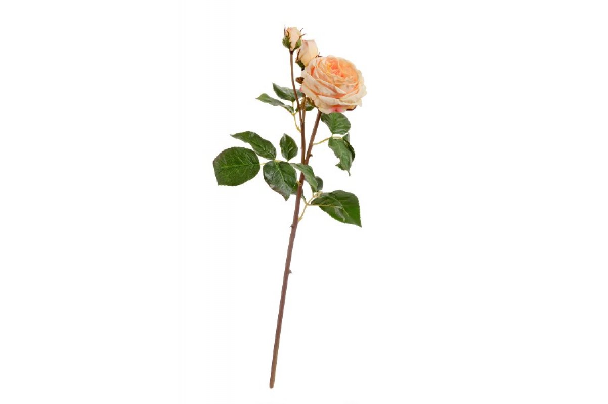 Роза Дэвид Остин Мидл ветвь искусственная светло-персиковая 50 см