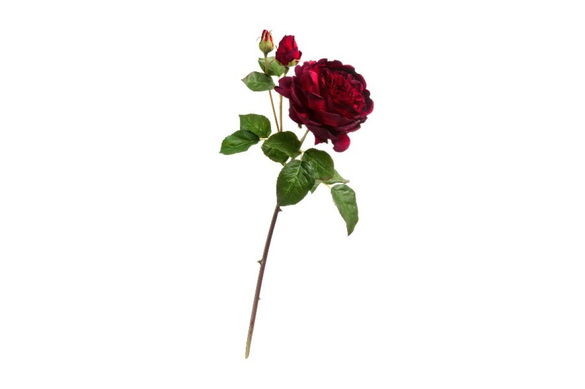 Роза Дэвид Остин Роял ветвь искусственная бордово-красная 58 см