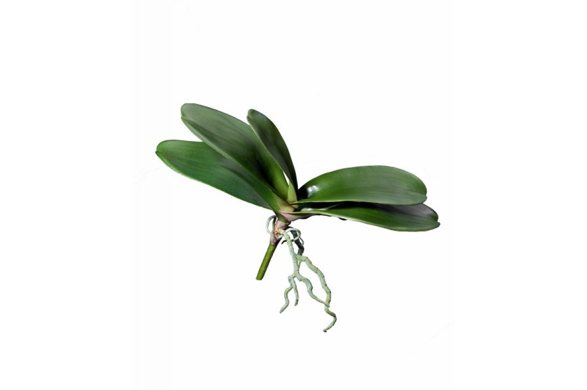 Листья Орхидеи Фаленопсис большие с корнями искусственные зеленые 28 см