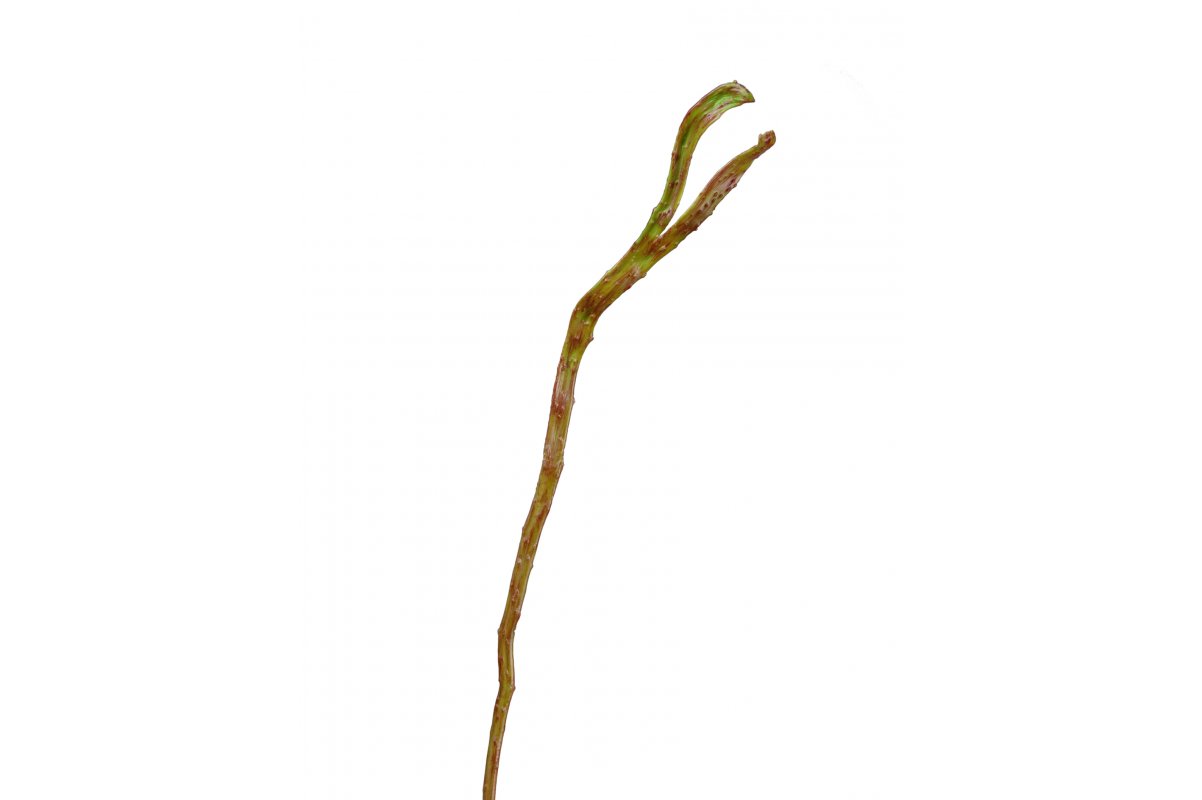 Ветка Салекса искусственная зелено-коричневая 70 см