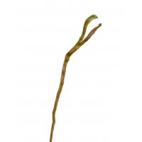 Ветка Салекса искусственная зелено-коричневая 70 см
