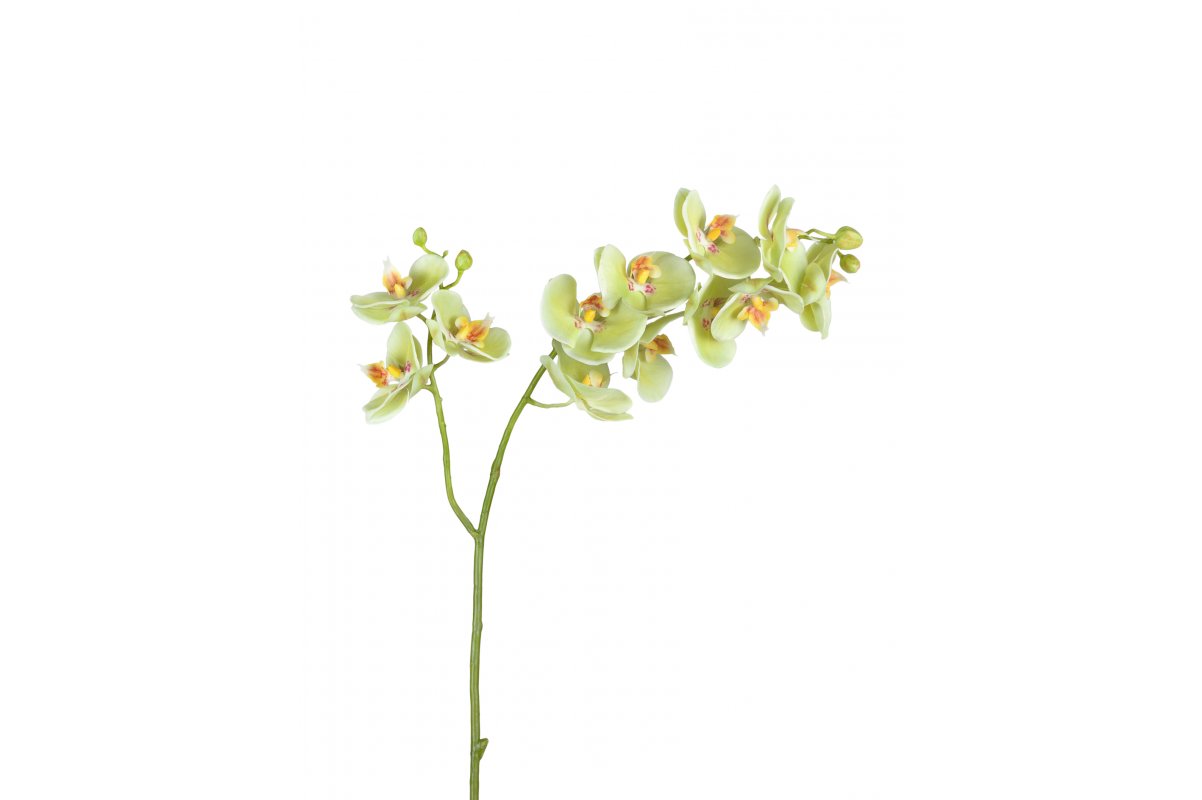 Орхидея Фаленопсис искусственная светлый лайм ветвь двойная 88 см (Real Touch)