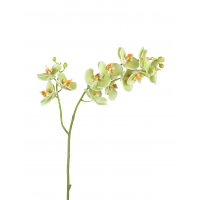 Орхидея Фаленопсис искусственная светлый лайм ветвь двойная 88 см (Real Touch)