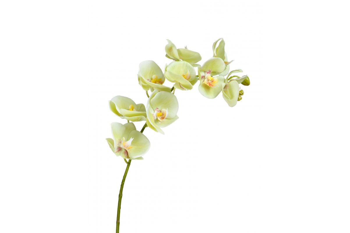 Орхидея Фаленопсис искусственная светлый лайм ветвь 74 см (Real Touch)