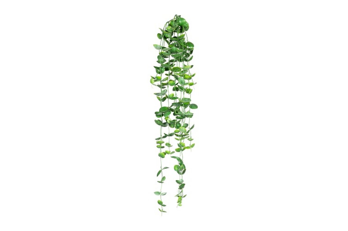 Дисхидия искусственная зеленая 100 см