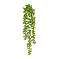 Крестовник (сенецио) искусственный зеленый 30 см