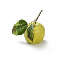 Яблоко на веточке искусственное нежно-зеленое 7 см