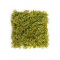 Мох Ягель искусственный светло-зелёный микс 25 x 25 см (коврик)