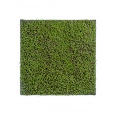 Мох Сфагнум Fuscum искусственный зеленый 100 x 100 см (полотно большое)