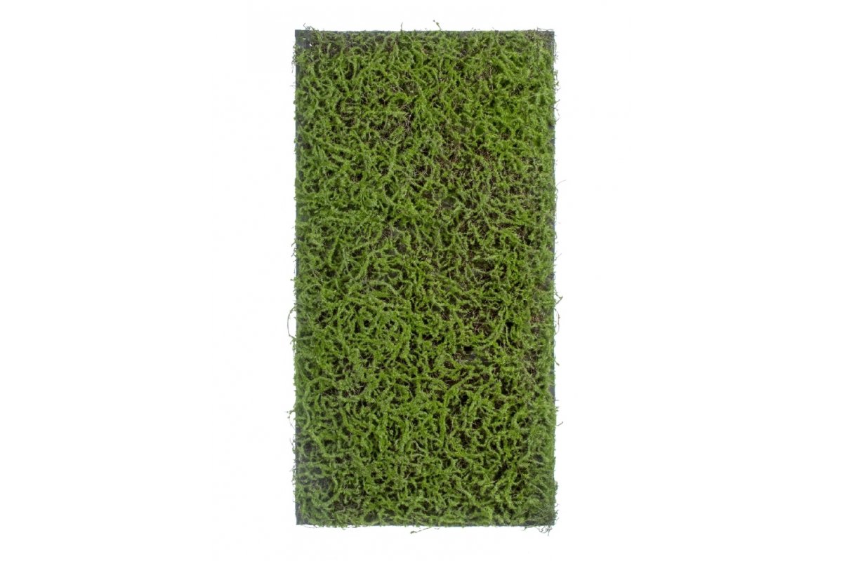 Мох Сфагнум Fuscum искусственный зеленый 50 x 100 см (полотно среднее)