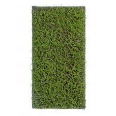 Мох Сфагнум Fuscum искусственный зеленый 50 x 100 см (полотно среднее)