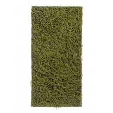 Мох Сфагнум Fuscum искусственный оливково - зеленый 50 x 100 см (полотно среднее)