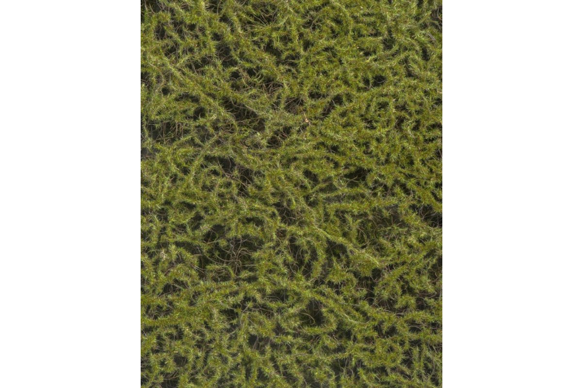 Мох Сфагнум Fuscum искусственный оливково - зеленый 50 x 50 см (полотно) - Фото 2