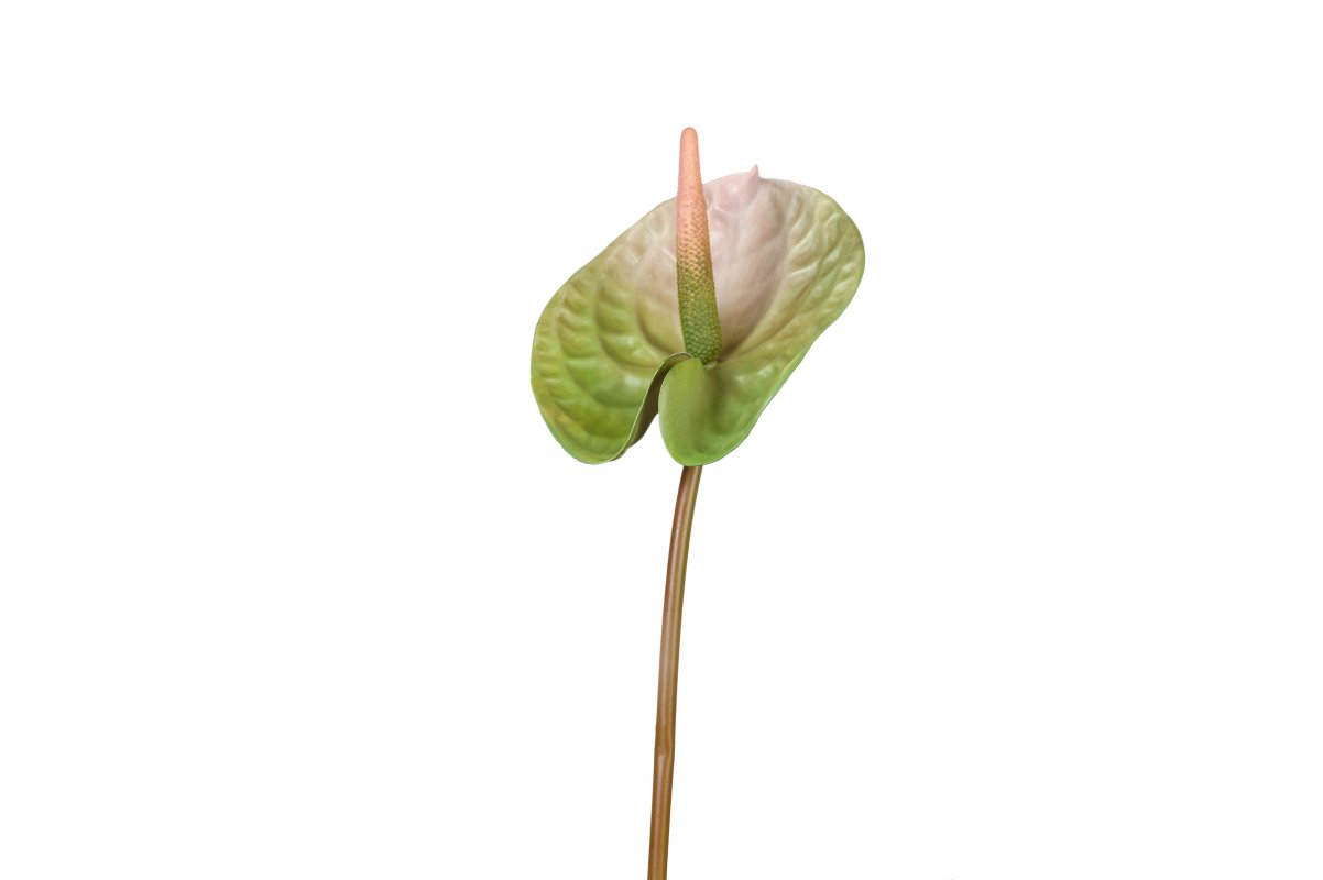 Антуриум Андрэ матовый искусственный зелено-розовый 70 см