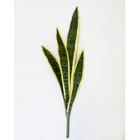Сансевиерия Лауренти искусственная темно-зеленая 64 см (без кашпо) 