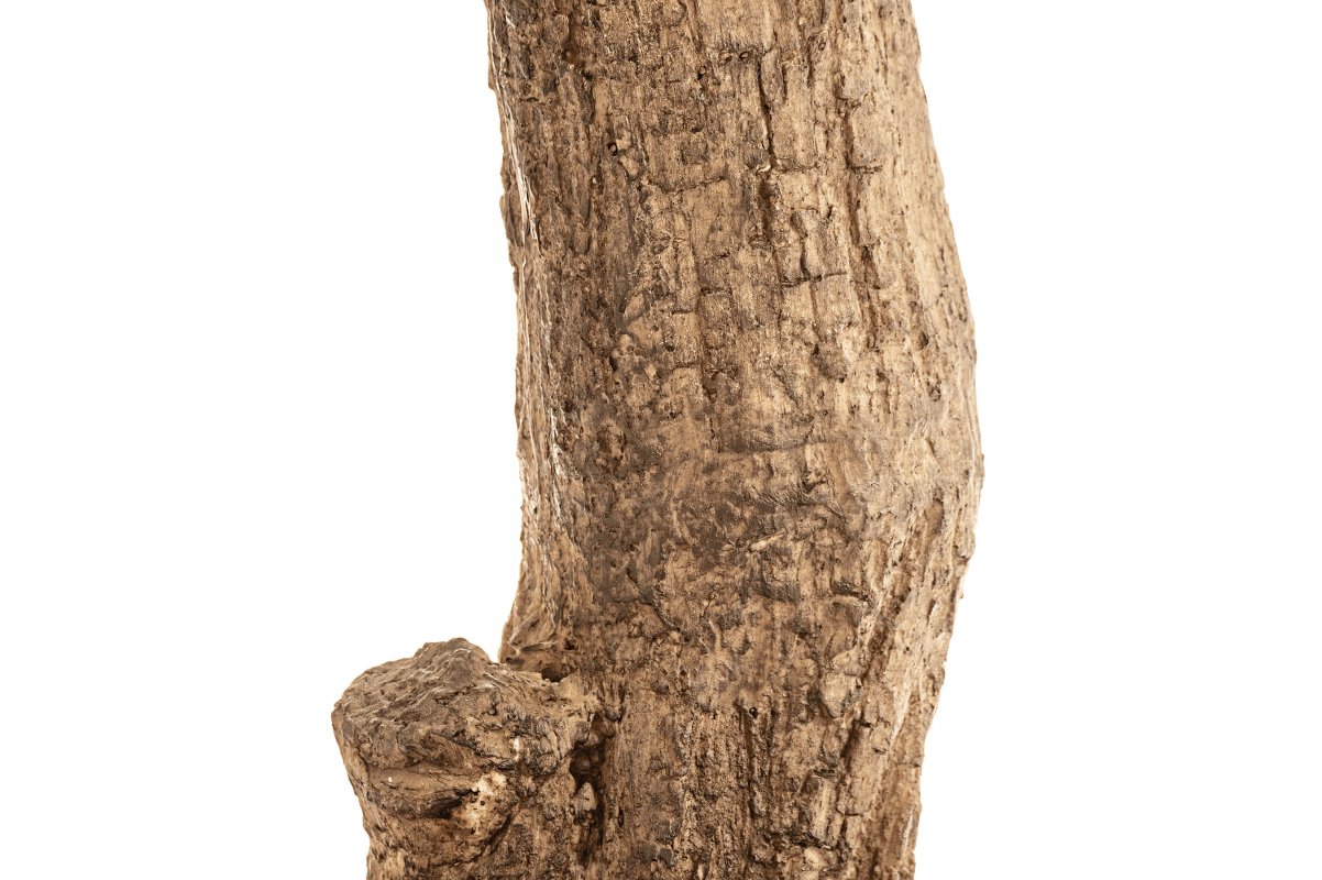 Олива Олден на толстом стволе искусственная 210 см - Фото 3