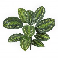 Калатея Розеопикта куст искусственная зеленая 48 см 