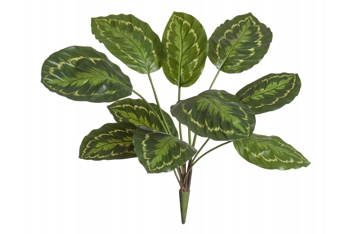 Калатея Розеопикта куст искусственная зеленая 48 см