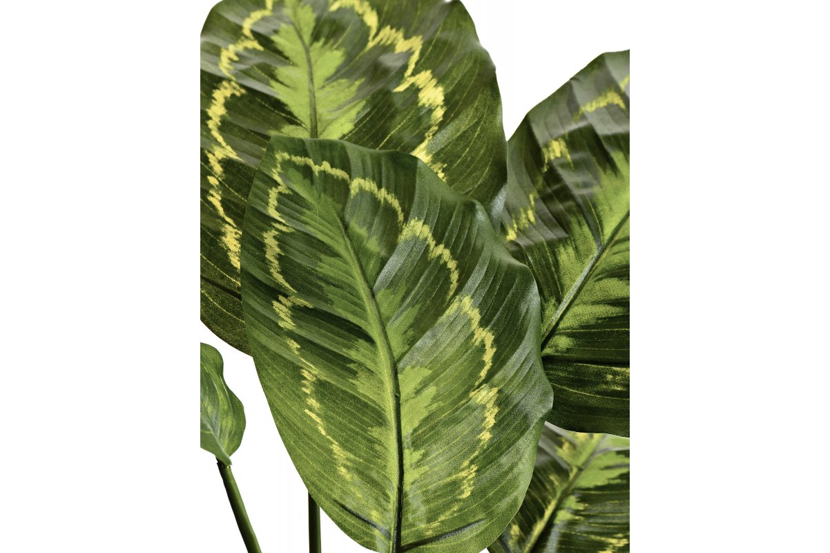 Калатея Розеопикта куст искусственная зеленая 48 см - Фото 2