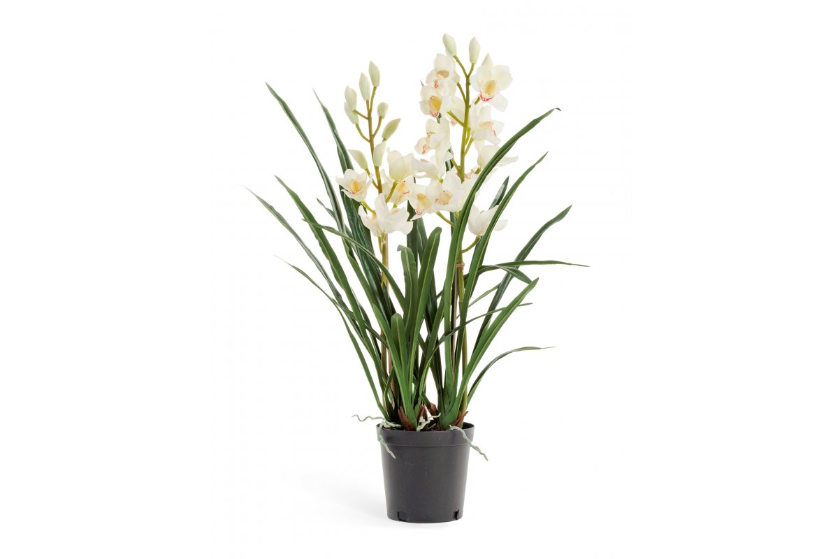 Искусственная Орхидея Цимбидиум белая куст в кашпо 2 ветки 100 см