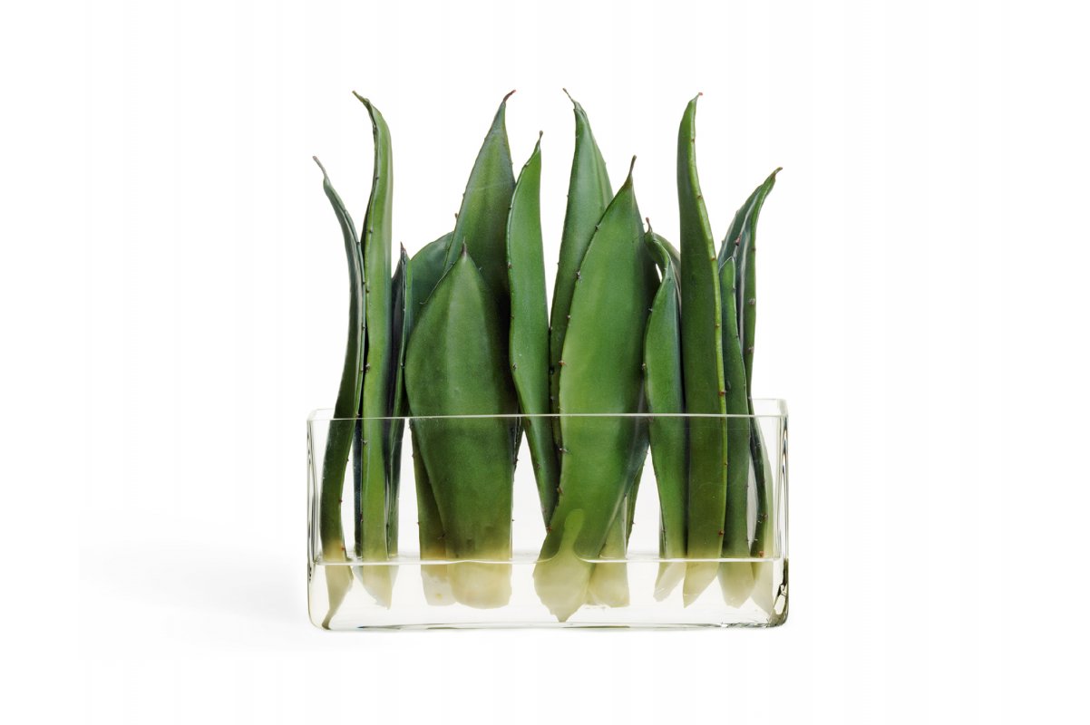 Композиция Листы Алоэ искусственные зеленые в стекле с водой 30 см