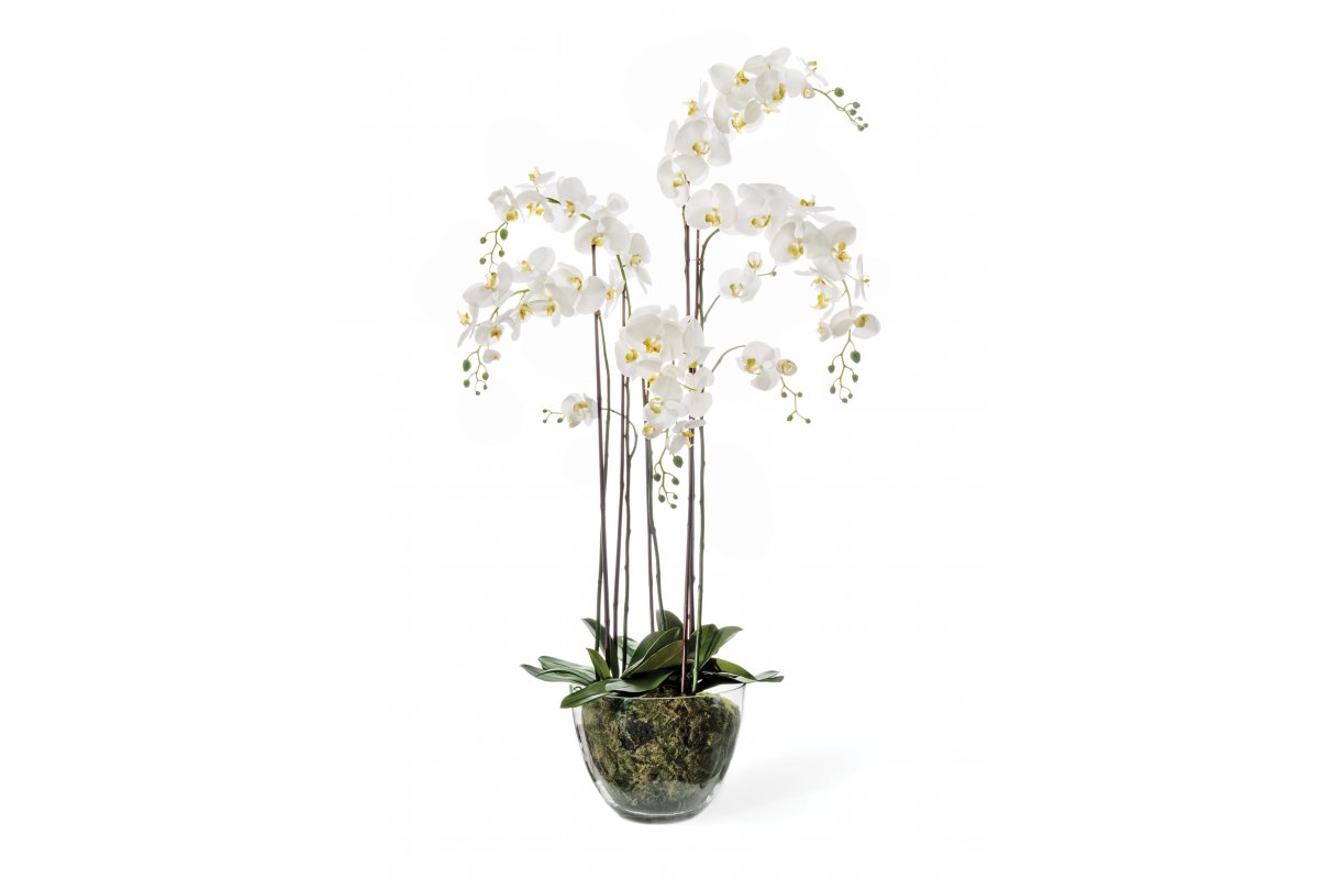 Композиция Орхидея Фаленопсис искусственная белая с мхом, корнями, землей 150 см